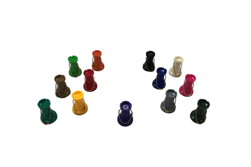 Colored Key Chain - Rook